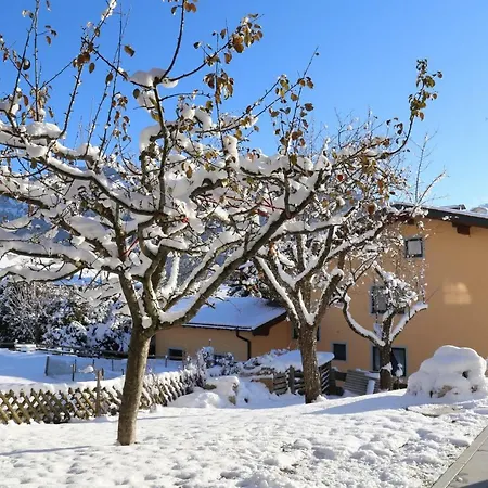 Διαμέρισμα Ilvy Söll